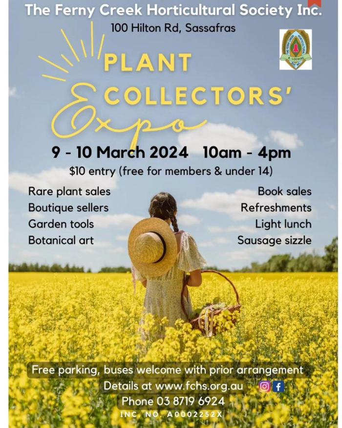 Plant Collectors Expo 2024 Sassafras