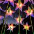 Lightscape 2025 - Royal Botanic Gardens