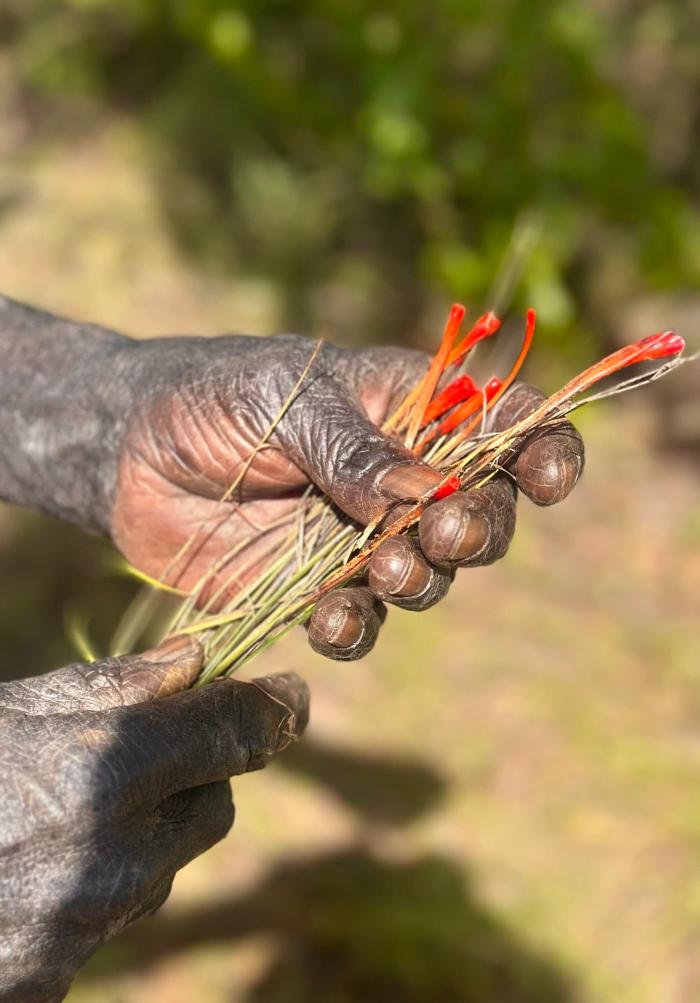 Group Exhibition: Watch These Hands