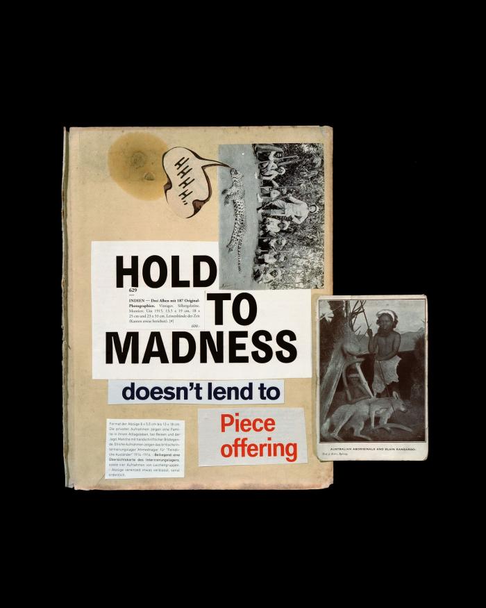 Brook Andrew: ROLLERCOASTER