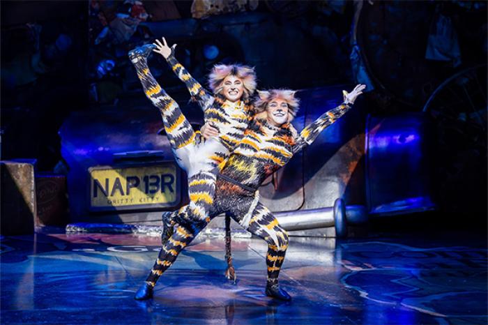 Cats | The Musical