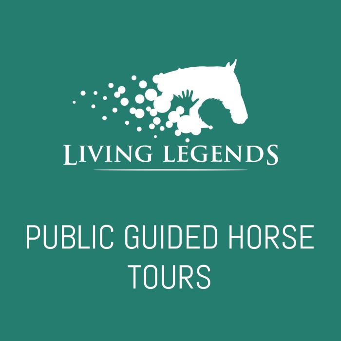 Living Legends | Home of Retired Champion Horses Tours
