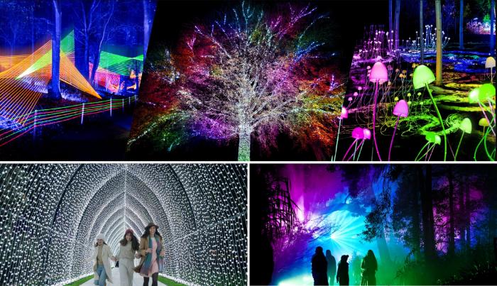 Lightscape 2026 - Royal Botanic Gardens