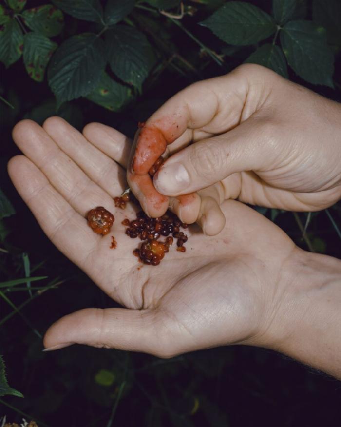 Angus Scott: Tending the Invasion