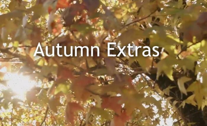 Spicers Retreats | Autumn Extras - Book Now and Get extra deals