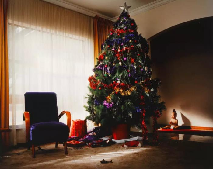 Trent Parke: The Christmas Tree Bucket