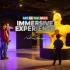 View Art of the Brick - Immersive Experience