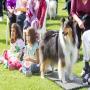 View Event: Knox Pets in the Park 2024 