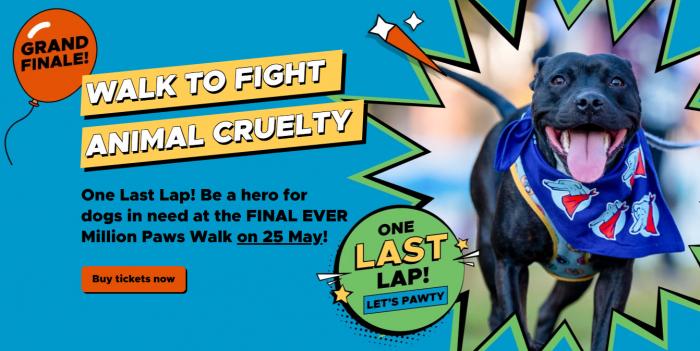 Million Paws Walk 2025 | RSPCA - One Last Lap