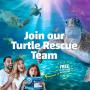 Become a Certified Turtle Rescuer