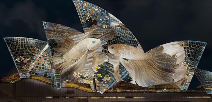 Lighting of the Sails: Opera Mundi