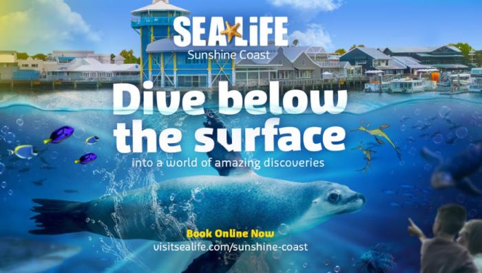 Dive Into the Holidays at SEA LIFE Sunshine Coast Aquarium