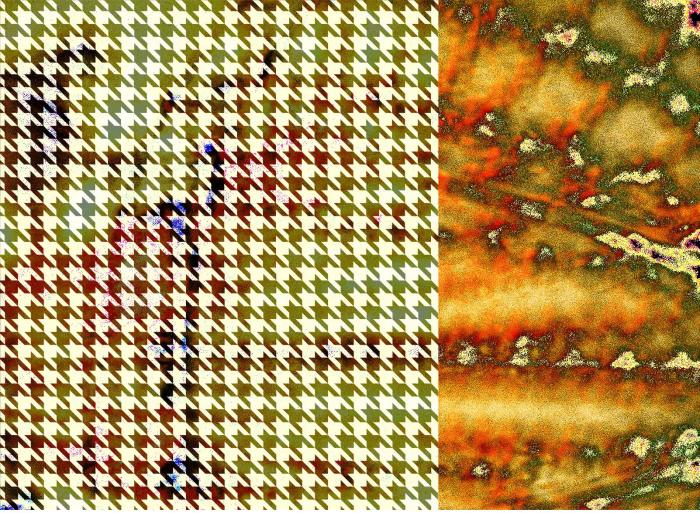 Dawn Allmark: Chrysalis + Michaela Sandberg: Aberrations