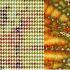 Dawn Allmark: Chrysalis + Michaela Sandberg: Aberrations