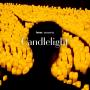 Candlelight: Vivaldi's Four Seasons