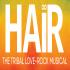 Hair: The Musical