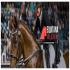 EQUITANA | Melbourne 2027
