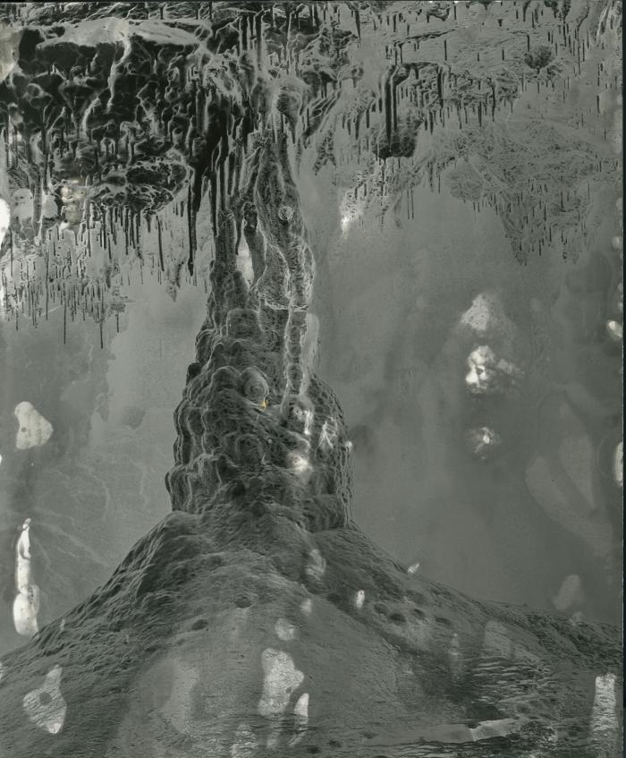Sarah Rhodes: Intimate immensity