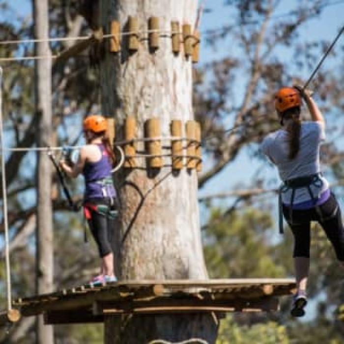 TreeTops Challenge: Yeodene Park - Open & Tickets - Fever.com