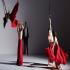 Opera Australia: Orpheus & Eurydice