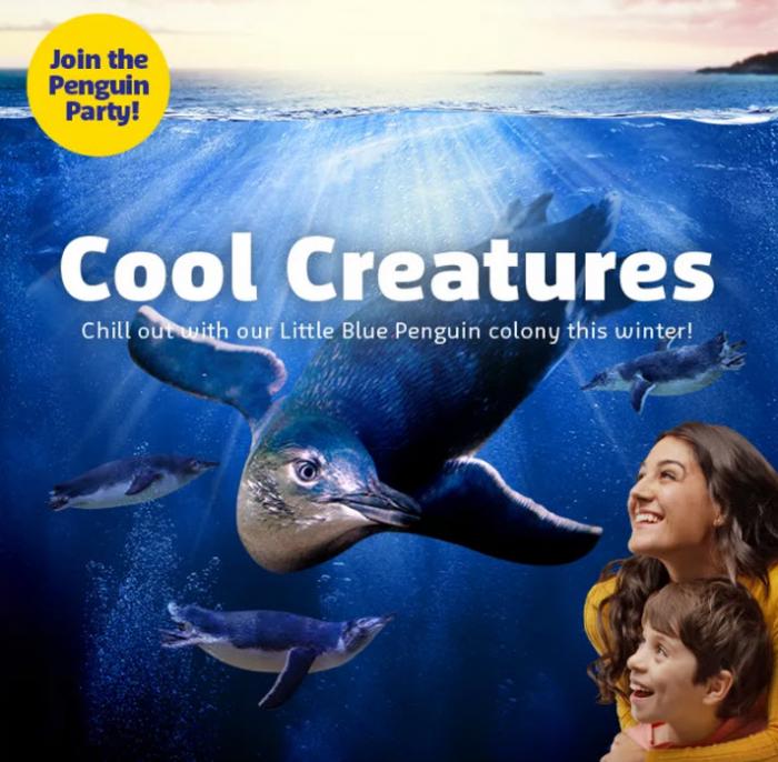 Cool Creatures | School Holidays @ SEA LIFE Aquarium | Sydney Cool Creatures | School Holidays @ SEA LIFE Aquarium | Sydney