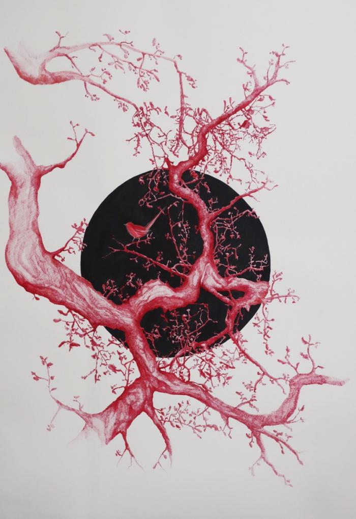 Tasmina K Majles: Becoming