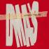 DMA'S Celebrate New Album with Live at the Gardens Performance