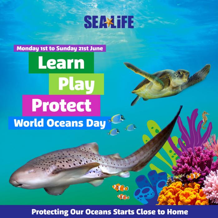 Sea Life Sydney Aquarium | World Ocean's Day