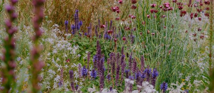 Francis Carmody + Keg de Souza: The Measured Garden