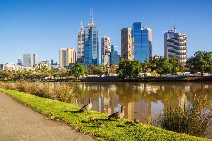 Melbourne in Summer