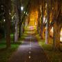 Melbourne in Autumn