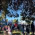 Hobart Twilight Market | Long Beach Sandy Bay!