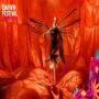 View Bangarra Dance Theatre: Illume