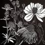 Kerryn Amery: Mostly Black and White