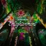 Enlightenment: An Immersive Light Show