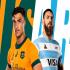 Wallabies v Argentina