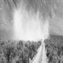 View Sam Contis: Moving Landscape