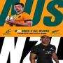 Wallabies v All Blacks