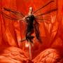Bangarra Dance Theatre: Illume