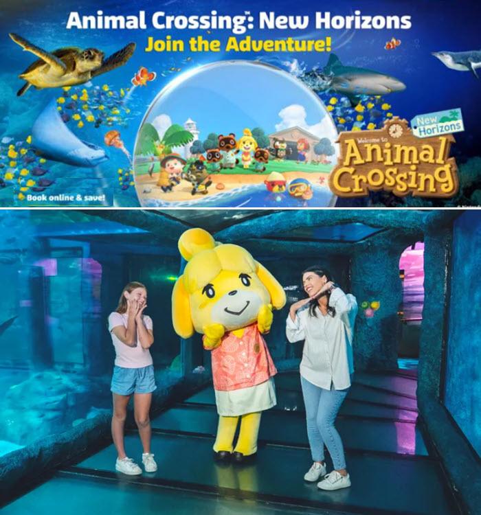 Animal Crossing: New Horizons at SEA LIFE Sunshine Coast Aquarium Animal Crossing: New Horizons at SEA LIFE Sunshine Coast Aquarium