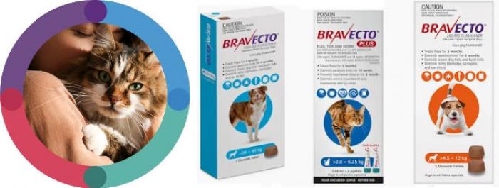 VetSupply | Bravecto Flea & Tick Treatments