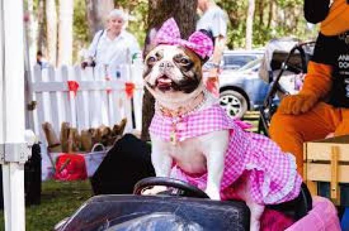 Portside Wharf: Brisbane�s Biggest Puppy Party