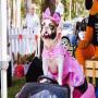 View Portside Wharf: Brisbane’s Biggest Puppy Party View Portside Wharf: Brisbane’s Biggest Puppy Party