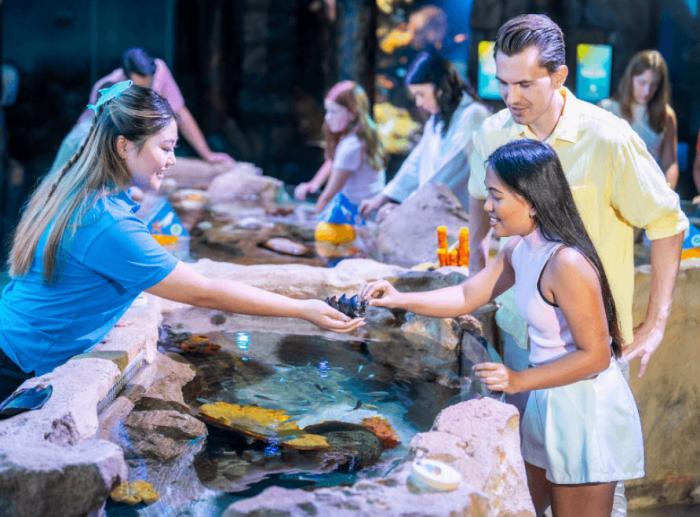 Become a Rockpool Ranger at SEA LIFE Kelly Tarlton's Aquarium