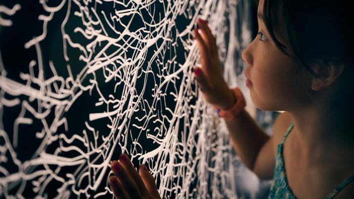 Our Wondrous Planet Our Wondrous Planet