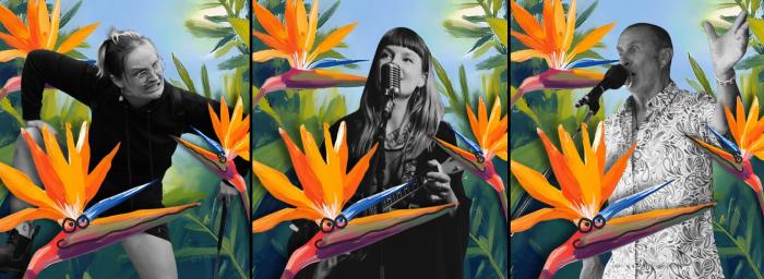 Birds of Paradise - a story of songs for the spaces between