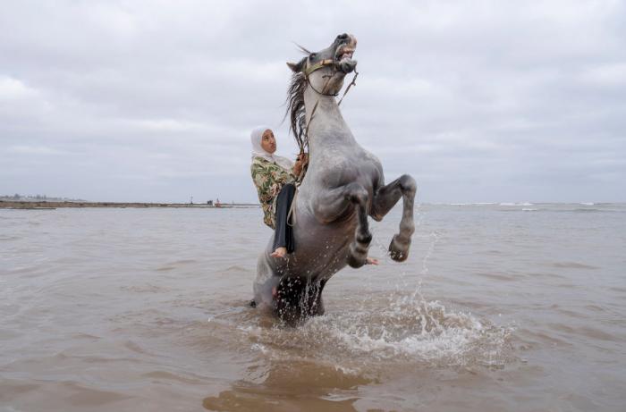 World Press Photo Exhibition 2026: Award-Winning Photojournalism on Show