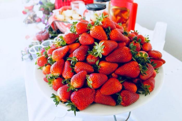Bacchus Marsh Strawberry & Cherry Festival 2025 Bacchus Marsh Strawberry & Cherry Festival 2025