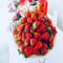 Bacchus Marsh Strawberry & Cherry Festival 2025