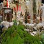 Australian Nativity Scene 2025 | Dandenong